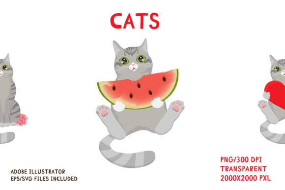 Cat Illustrations Review