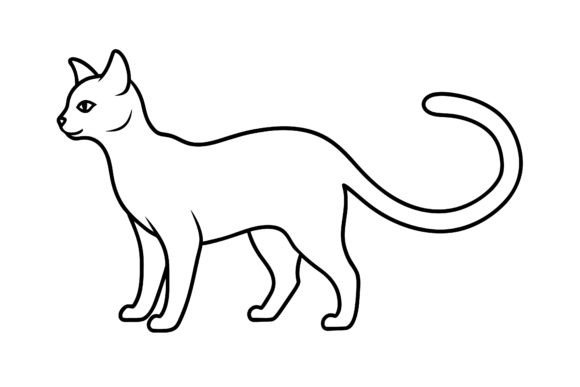 Minimalist Cat Review